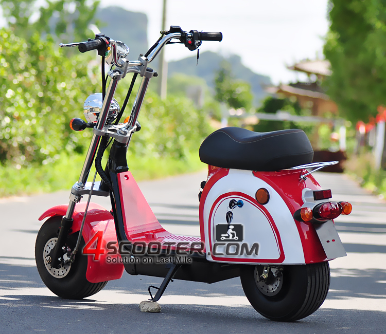 EEC COC Approved 2000W 4X4 2 wheel drive Junior Citycoco Electric Scooter